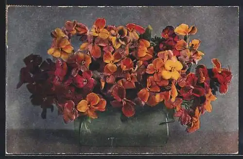 AK Tübingen, Blumentag zu Gunsten der Kriegsbeschädigten und Heimkehrer 1919