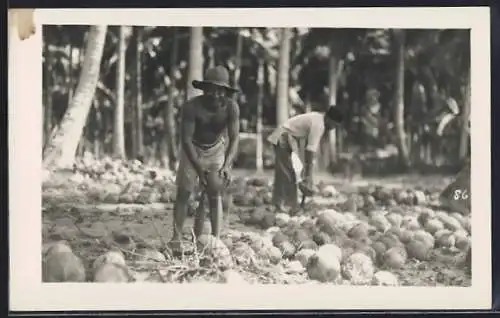 AK Männer öffnen Kokosnüsse