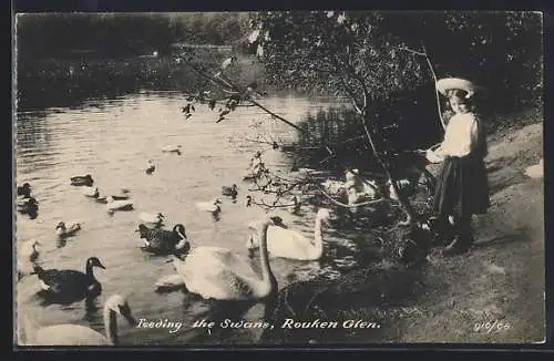 AK Rouken Glen, Feeding the Swans