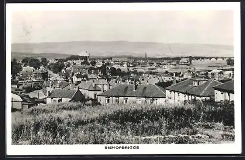 AK Bishopbriggs, Bird`s Eye View