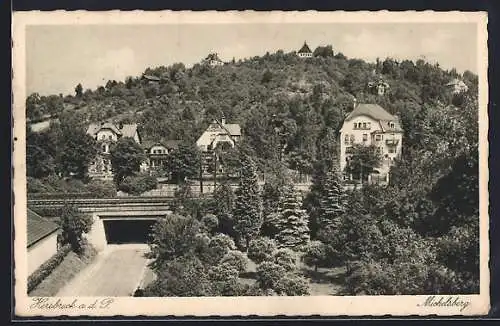 AK Hersbruck a. d. P., Ortsansicht mit Michelsberg