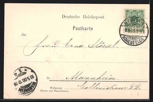 AK Hamburg-Neustadt, Neuer Alsterpavillon mit Blumen