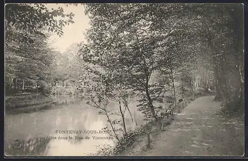 AK Fontenay-sous-Bois, Allée dans le Bois de Vincennes
