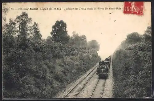 AK Boissy-Saint-Léger, Passage du Train dans la Forêt de Gros-Bois