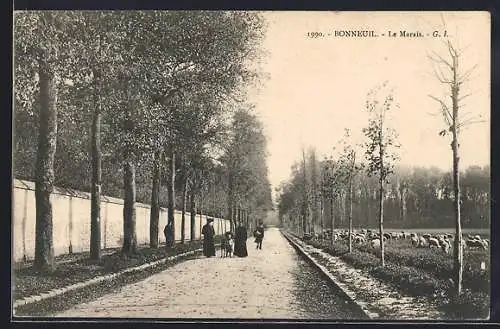 AK Bonneuil, Le Marais et avenue bordée d`arbres avec troupeau de moutons