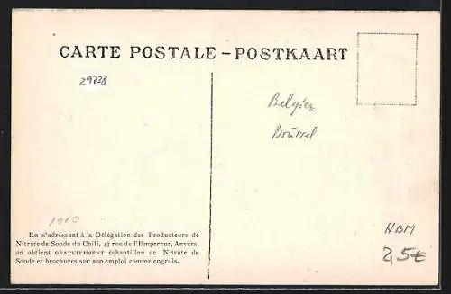 AK Gand, Pavillon du Nitrate de Soude du Chili au Village Moderne