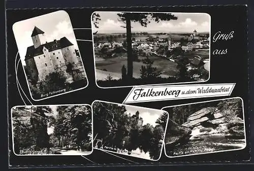 AK Falkenberg / Waldnaabtal, Burg Falkenberg, Sauerbrunnen, Partie am Kammerwagen