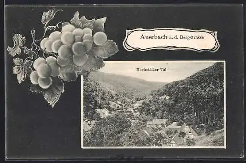 AK Auerbach / Bergstrasse, Blick in das Hochstädter Tal
