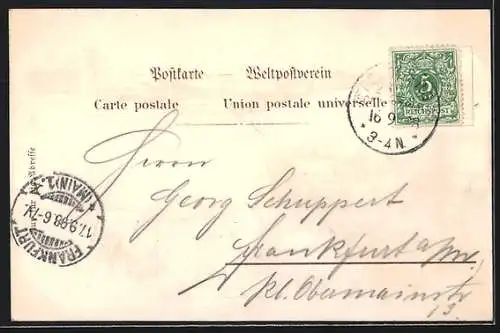 Lithographie Feldberg / Schwarzwald, Hotel & Pension Feldberger Hof, Panorama & Turm, Denkmal