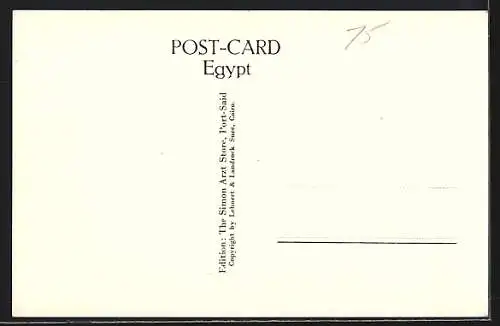 AK Port-Said, Arrival of a Steamer