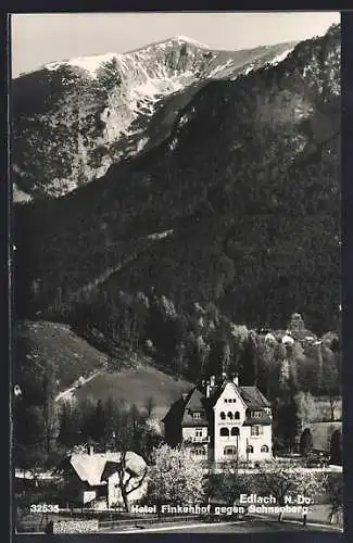 AK Edlach, Hotel Finkenhof gegen Schneeberg