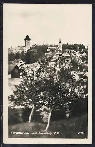 AK Allentsteig /N. D., Totalansicht von einer Wiese aus