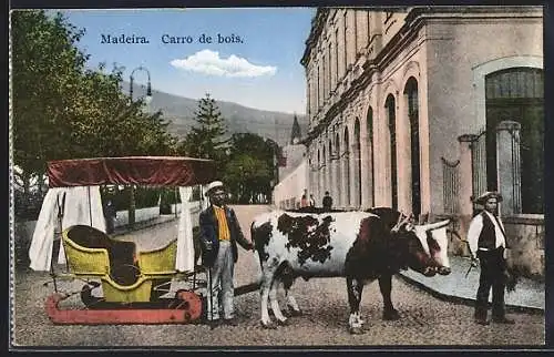 AK Madeira, Carro de bois, Ochsengespann