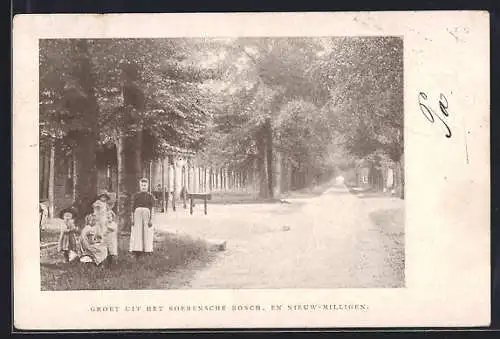 AK Apeldoorn, Nieuw-Milligen, Groet uit het Soerensche Bosch