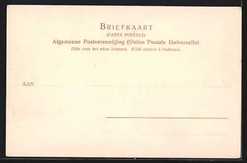 AK Haarlem, De Hout