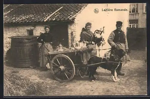 AK Laitière flamande, Flämische Milchbauern mit Hundegespann