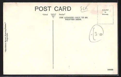 AK Bo`ness, From Stewart Avenue