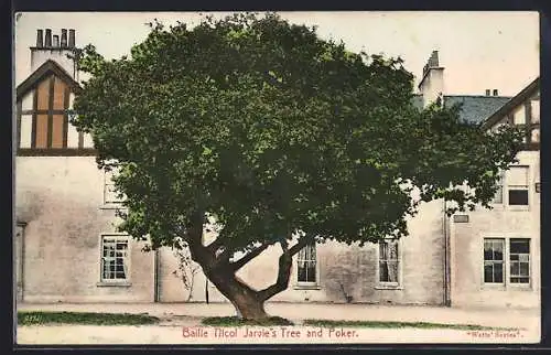 AK Bailie, Nicol Jarvie`s Tree and Poker
