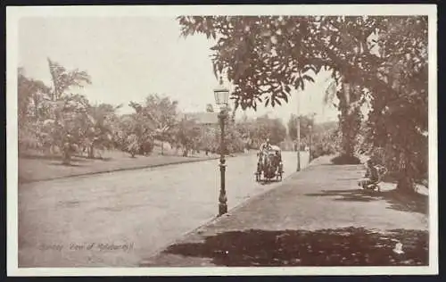 AK Bombay, View of Malabar Hill, Pferdekutsche