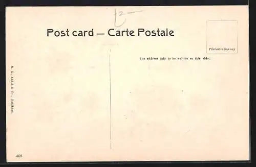 AK Ranikhet, Falling of a tree by snow