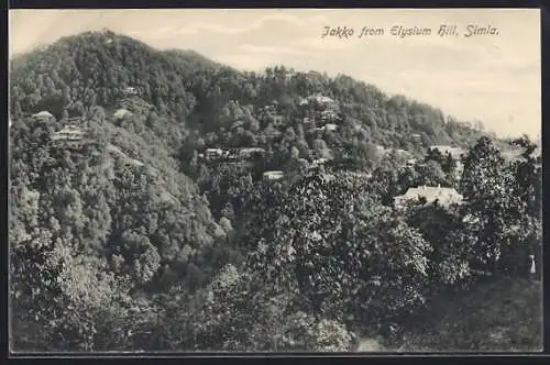 AK Simla, Jakko from Elysium Hill