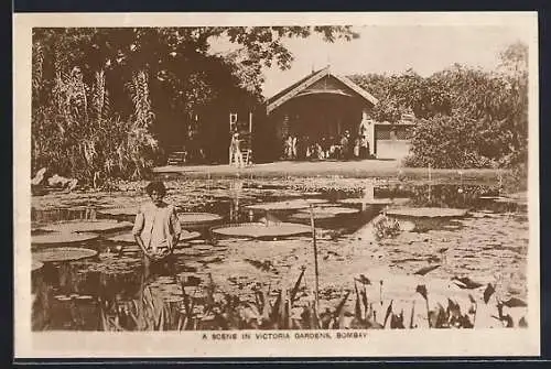 AK Bombay, A Scene in Victoria Gardens