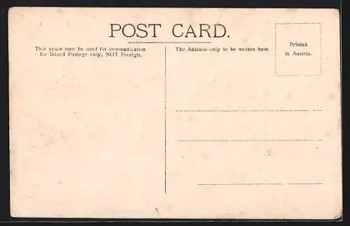 AK Calcutta, Landing of the late Prince Albert Victor and Princep`s Ghat