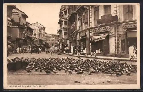 AK Bombay, Pigeons at Bhuleshwar