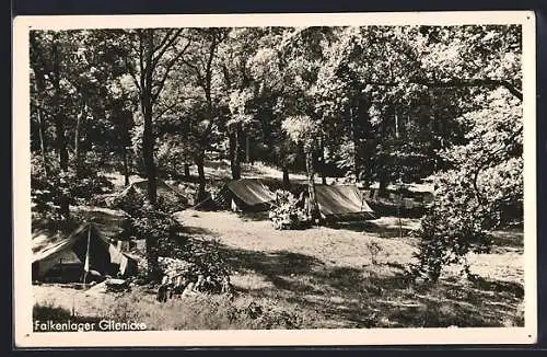 AK Glienicke / Nordbahn, Falkenlager Glienicke, Zeltlager im Wald