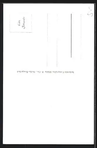 AK Berlin-Neukölln, Blick auf das Rathaus