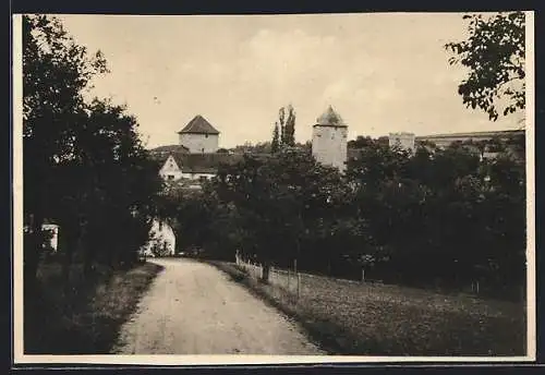 AK Kapellendorf, Blick auf die Wasserburg Kapellendorf