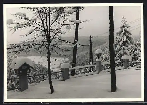 Foto-AK Nauendorf /Thür., Winter im Garten der Stiefelburg mit Blick ins Tal