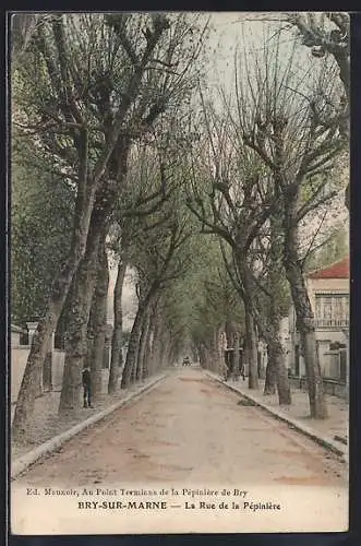 AK Bry-sur-Marne, La Rue de la Pépinière