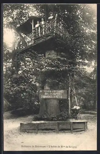 AK Brévannes, L`Arbre de Mme de Sévigné avec plateforme et visiteurs
