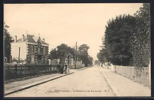 AK Brévannes, Le Boulevard de Brévannes