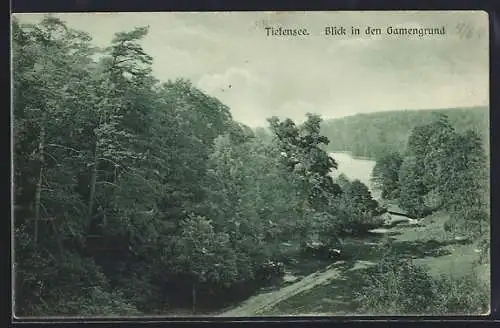 AK Tiefensee / Mark, Blick in den Gamengrund