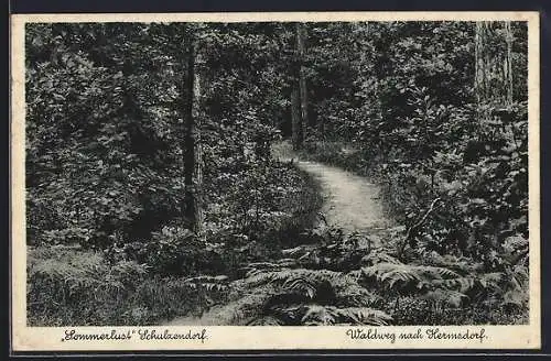 AK Schulzendorf, Restaurant Sommerlust, Waldweg nach Hermsdorf