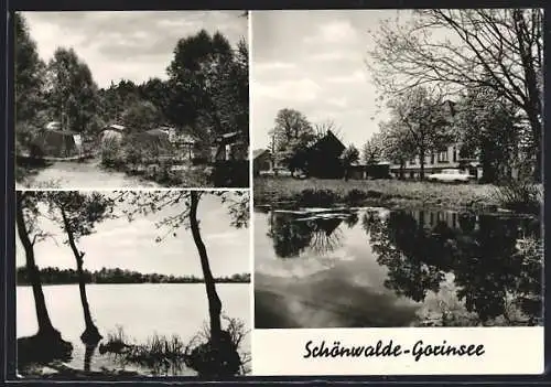 AK Schönwalde-Gorinsee / Wandlitz, Ortspartie am Ufer, Zeltplatz