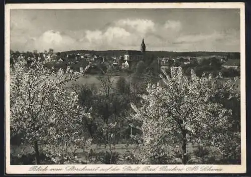 AK Bad Buckow /Märk. Schweiz, Blick vom Storchnest auf dei Stadt