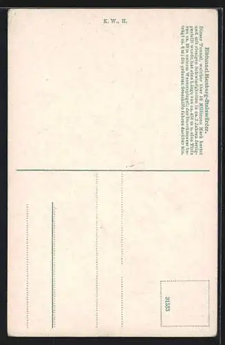 AK Hamburg-Steinwerder, Versch. Ansichten des Elbtunnels