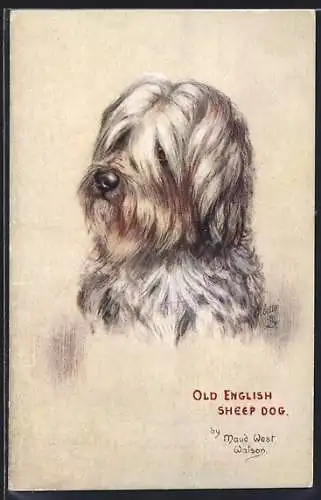 Künstler-AK Old English Sheep Dog