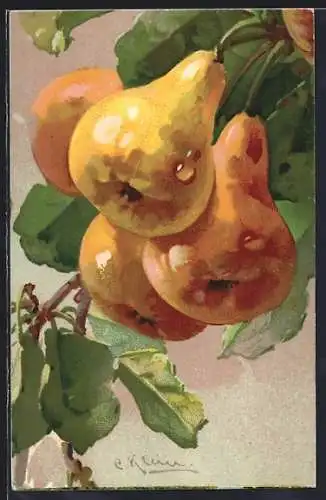 Künstler-AK Catharina Klein: Reife gelbe Birnen an einem Zweig mit grünen Blättern