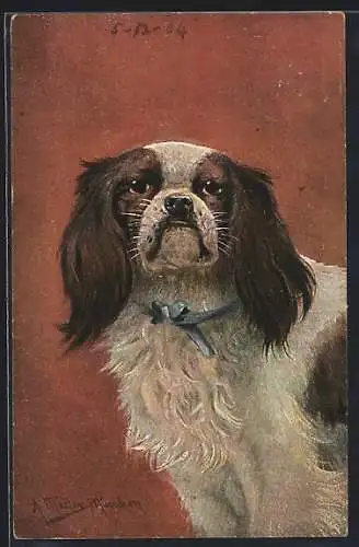 Künstler-AK August Müller - München: Kleiner Hund mit blauer Schleife