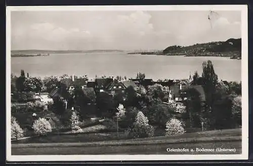 AK Gaienhofen, Teilansicht mit Bodensee