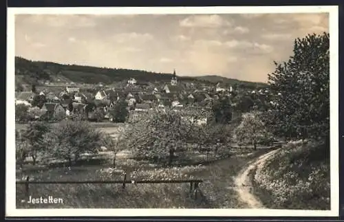 AK Jestetten, Gesamtansicht aus der Vogelschau
