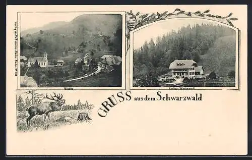 AK Wieden, Ortspanorama, Kurhaus Wiedenereck, Hirsch