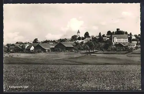 AK Treffelstein /Opf., Blick über Wiesen auf den Ort