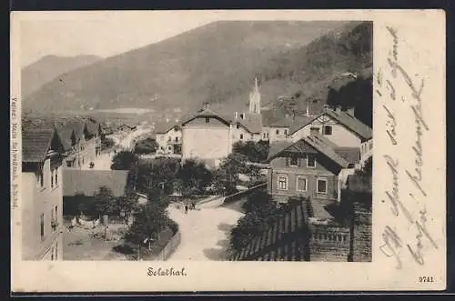 AK Selzthal, Gesamtansicht aus der Vogelschau