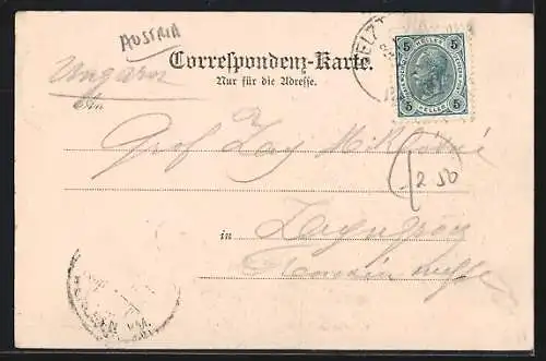 AK Selzthal, Gesamtansicht aus der Vogelschau