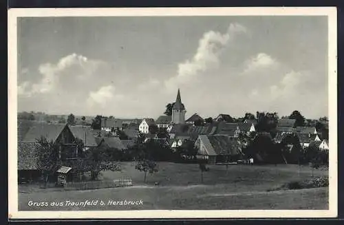 AK Traunfeld b. Hersbruck, Panorama der Ortschaft